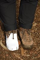 thumbs/DSC_2165.jpg