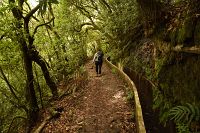 thumbs/DSC_2188.jpg