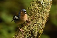 thumbs/DSC_2214.jpg