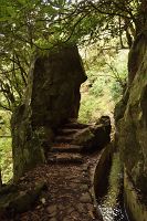 thumbs/DSC_2249.jpg