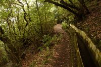 thumbs/DSC_2255.jpg