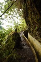 thumbs/DSC_2272.jpg