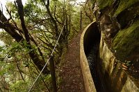 thumbs/DSC_2291.jpg