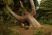 thumbs/DSC_2298.jpg
