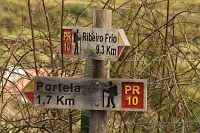 thumbs/DSC_2306.jpg