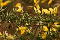 thumbs/DSC_2308.jpg