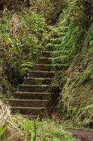 thumbs/DSC_2317.jpg