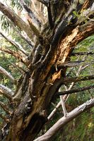 thumbs/DSC_2319.jpg