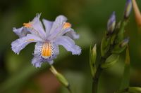 thumbs/DSC_2340.jpg