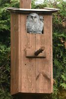 thumbs/DSC_1466.JPG