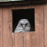 thumbs/DSC_1579.JPG