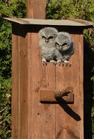 thumbs/DSC_1633.JPG