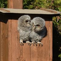 thumbs/DSC_1638.JPG