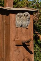 thumbs/DSC_1648.JPG