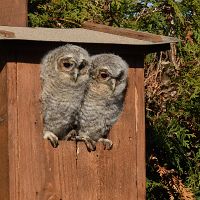 thumbs/DSC_1653.JPG