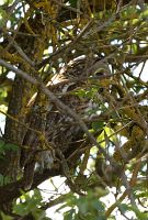 thumbs/DSC_1657.JPG