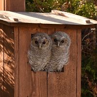 thumbs/DSC_1675.JPG