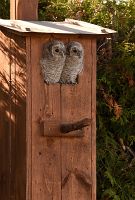 thumbs/DSC_1676.JPG