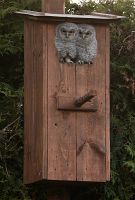 thumbs/DSC_1678.JPG