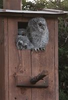 thumbs/DSC_1688.JPG