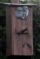 thumbs/DSC_1717.JPG