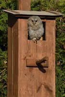 thumbs/DSC_1744.JPG