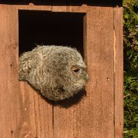 thumbs/DSC_1747.JPG