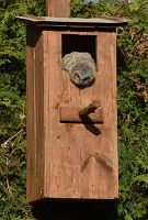 thumbs/DSC_1755.JPG