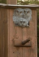 thumbs/DSC_1770.JPG