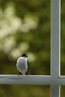 thumbs/DSC_1778.JPG