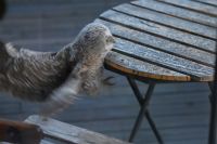 thumbs/DSC_2023.JPG