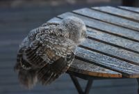 thumbs/DSC_2024.JPG