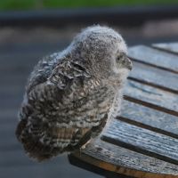 thumbs/DSC_2026.JPG