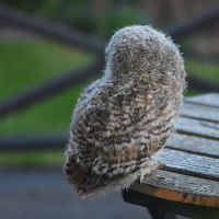 thumbs/DSC_2040.JPG