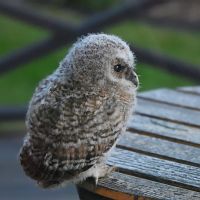 thumbs/DSC_2042.JPG