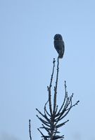 thumbs/DSC_2057.JPG