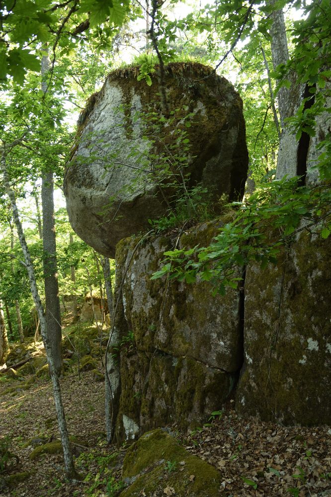 Original image
