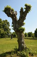 thumbs/DSC_2302.JPG