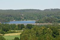 thumbs/DSC_2325.JPG