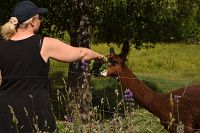 thumbs/DSC_2426.JPG