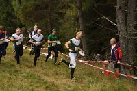 thumbs/DSC_2965.JPG