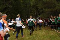 thumbs/DSC_2973.JPG