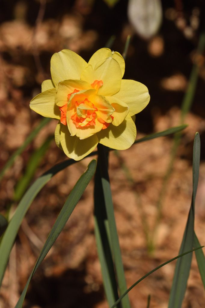 DSC_5664.JPG