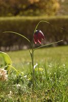 thumbs/DSC_5659.JPG