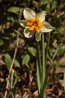 thumbs/DSC_5662.JPG