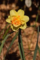 thumbs/DSC_5664.JPG