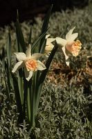 thumbs/DSC_5666.JPG