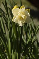 thumbs/DSC_5667.JPG