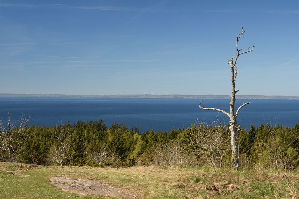 DSC_5683.JPG