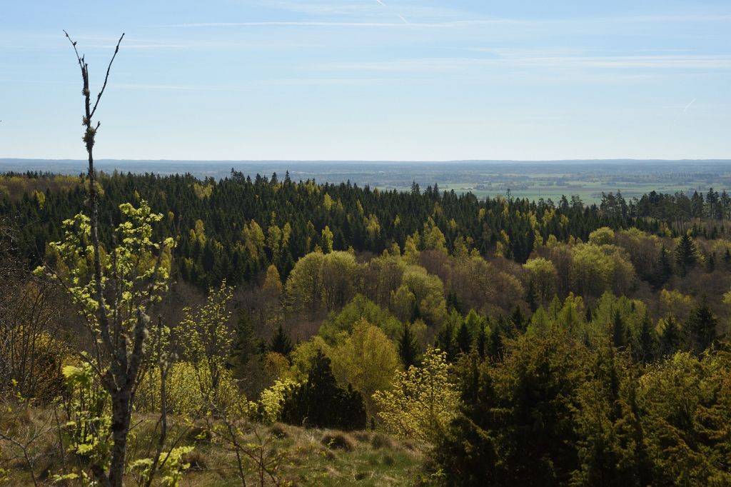 DSC_5692.JPG